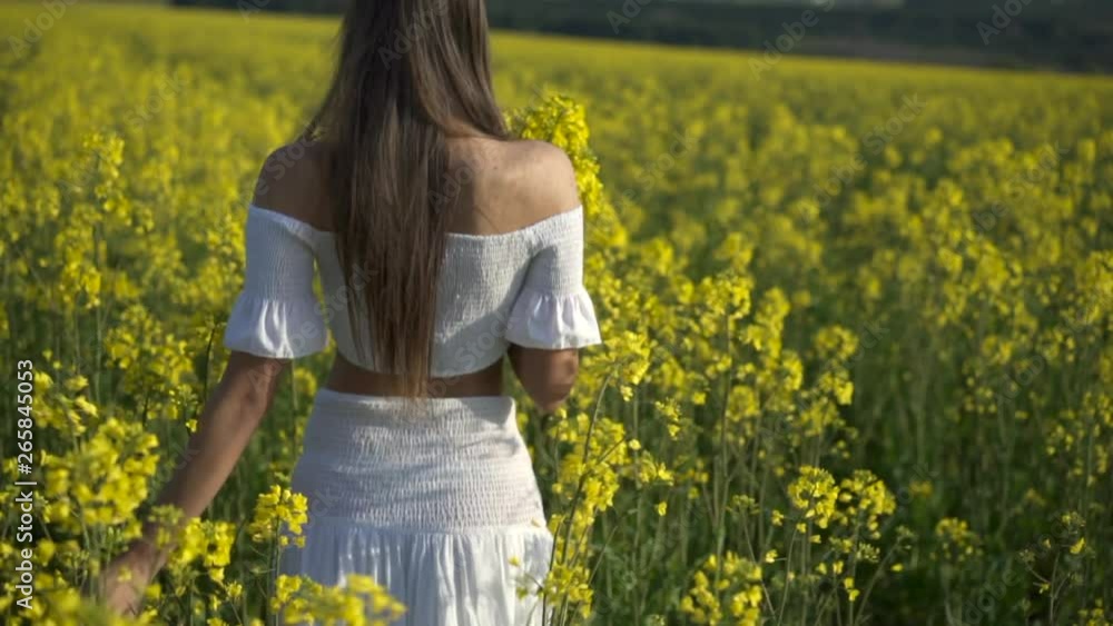 Happy girl walking on the rape field, steadicam shot, slow motion shot Happy girl walking on the rape field, steadicam shot, slow motion shot