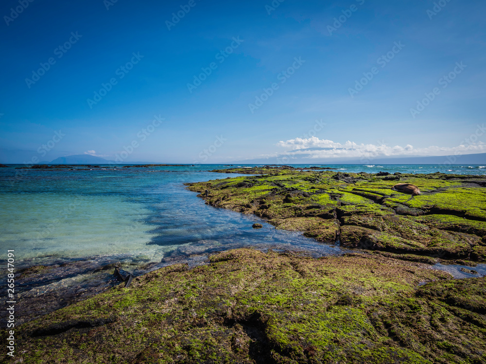 Beautiful shoreline scenery of Fernandina Island, Galapagos, Ecuador