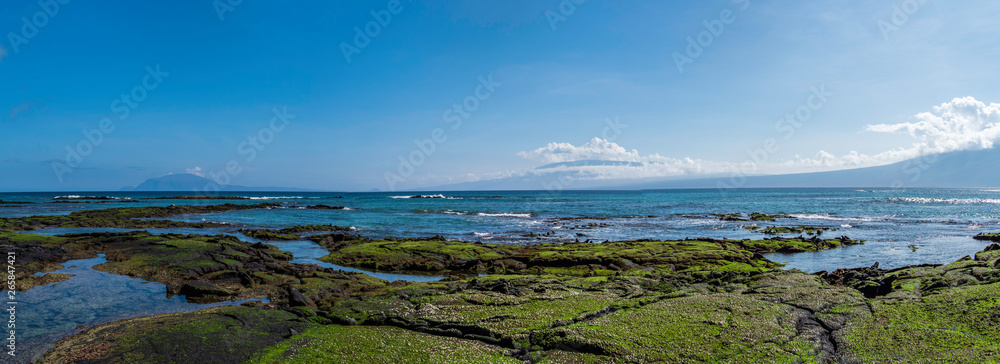 Beautiful shoreline scenery of Fernandina Island, Galapagos, Ecuador