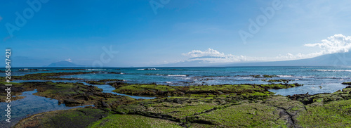 Beautiful shoreline scenery of Fernandina Island, Galapagos, Ecuador photo