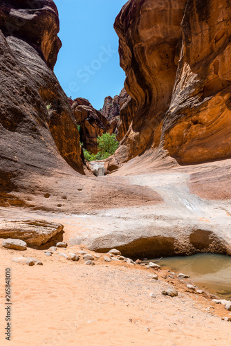 Red Reef trail in Red Cliffs Recreation Area, Utah, USA © Noradoa
