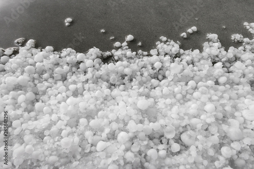 Fotografie Hailstones after hailstorm