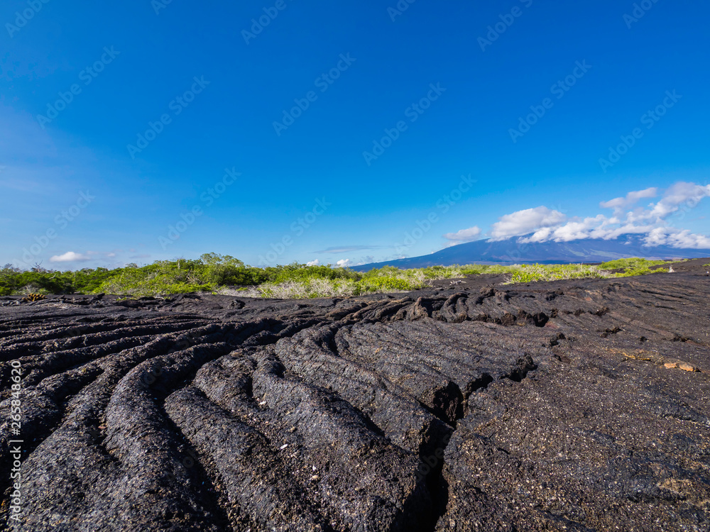 Beautiful volcanic landscape of Punta Moreno in Isabela Island, Galapagos, Ecuador