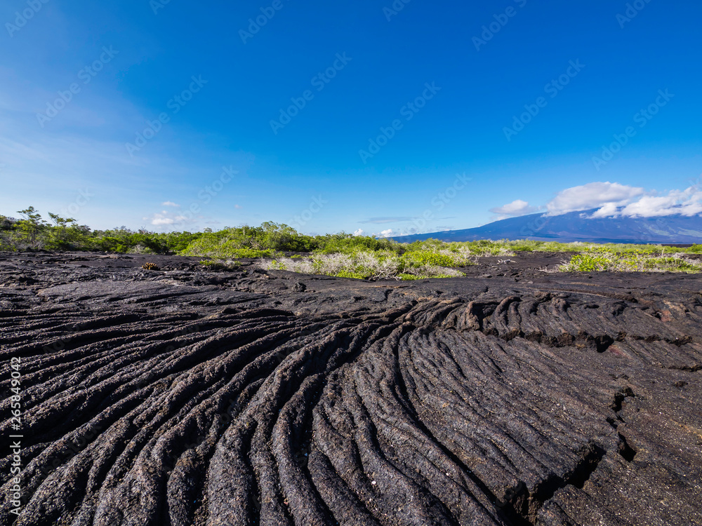 Beautiful volcanic landscape of Punta Moreno in Isabela Island, Galapagos, Ecuador