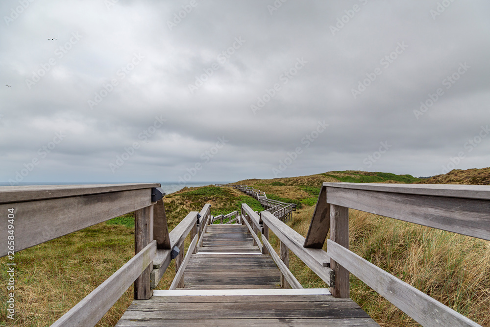 Wooden Hiking Path along the Beach in the Dunes at Sylt / Germany