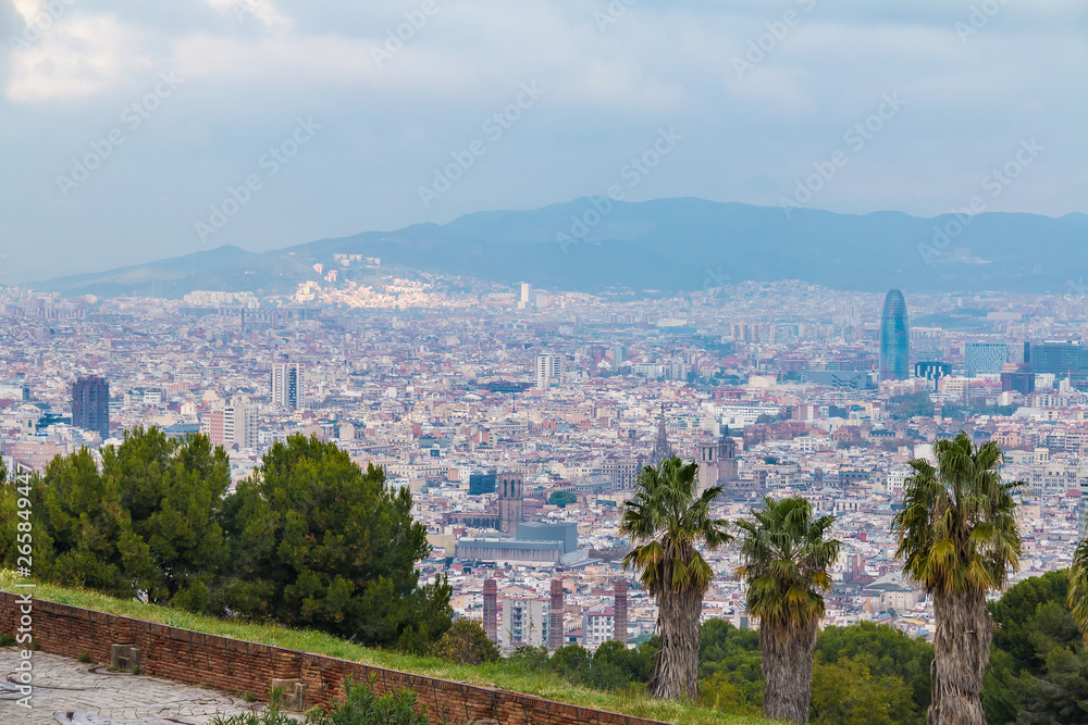 Aerial view of the Barcelona city behind trees and grass on the background of mountains in overcast day, Spain