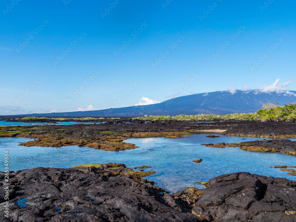 Beautiful shoreline scenery of Fernandina Island, Galapagos, Ecuador