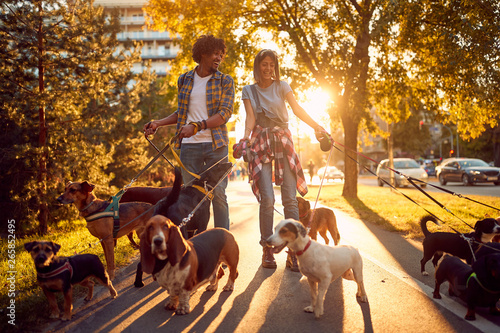 Photography couple dog walker with dogs enjoying in walk..