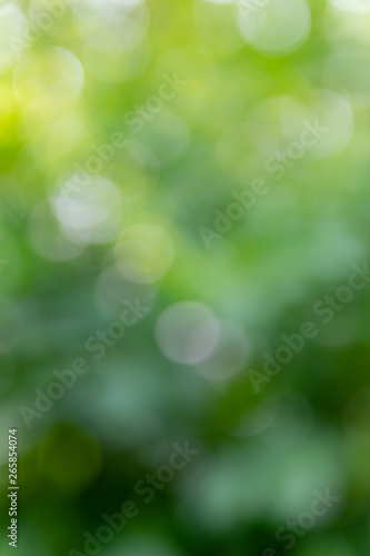 Nature,environment,parks,forests and texture concept: natural blurred background with green leaves and trees.