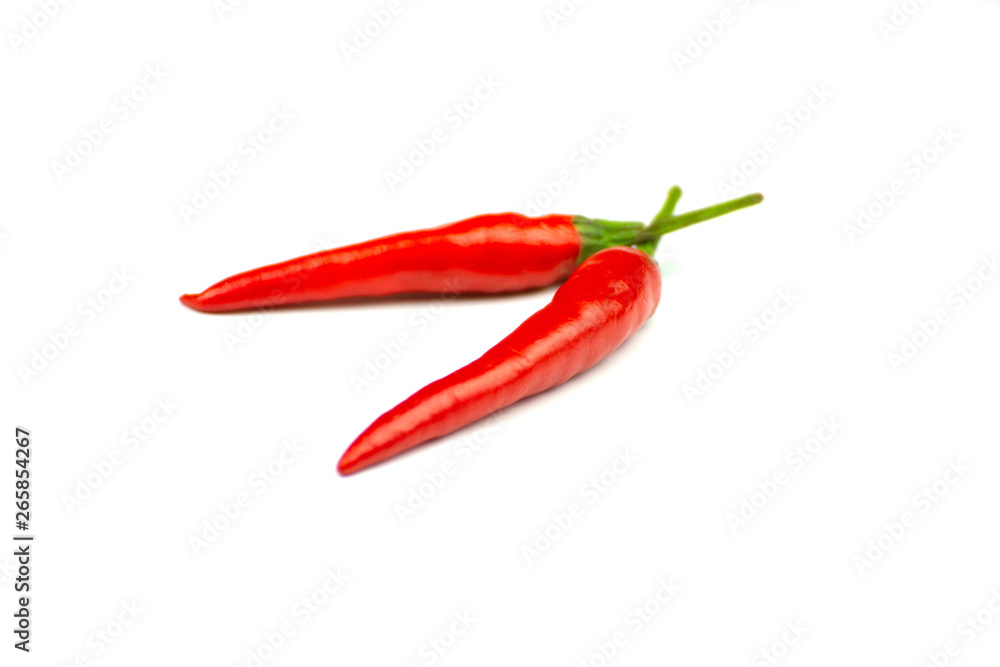 Chili - The pepper plants to the nature of the sphere of the long spikes isolated white background.