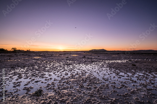 Scrabo Tower Newtownards Sunset