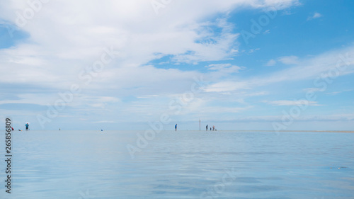 Beach and Blue Ocean Landscape