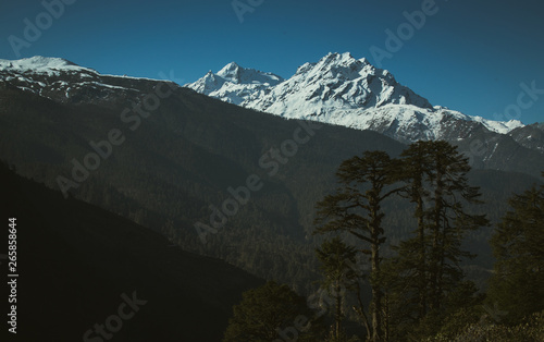 View of alps in Yumthang valley, North Sikkim - India