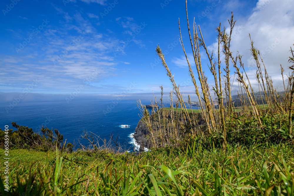 scenery at the azores (sao miguel)