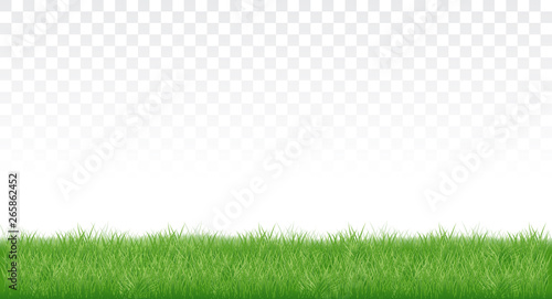the realistic plot of lush green grass. isolated on transparent background