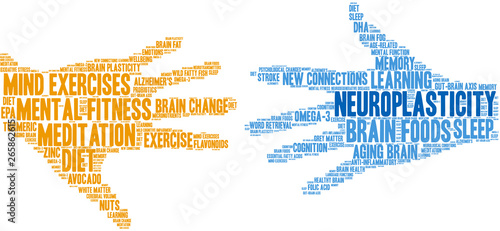 Neuroplasticity Word Cloud on a white background. 