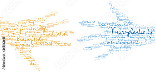 Neuroplasticity Word Cloud on a white background. 