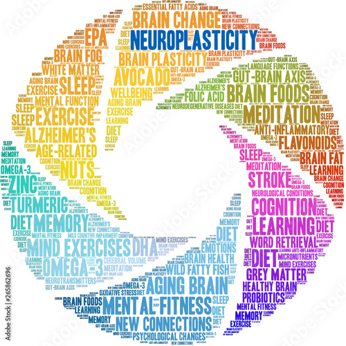 Neuroplasticity Word Cloud on a white background. 