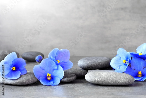 Photography Blue flower and stone zen spa on grey background