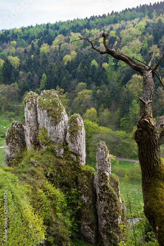 Fototapeta Naklejka Na Ścianę i Meble -  Rekawica - big hand mountain in Ojcow, Poland
