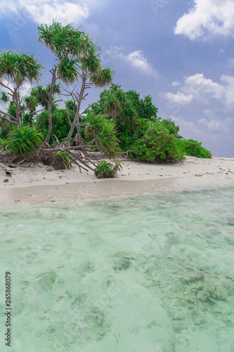 Maldives   tropical sea background