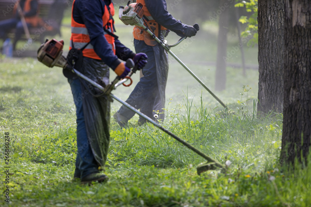 lawnmower with mowing trimmer mows the lawn lawnmower with mowing trimmer mows the lawn