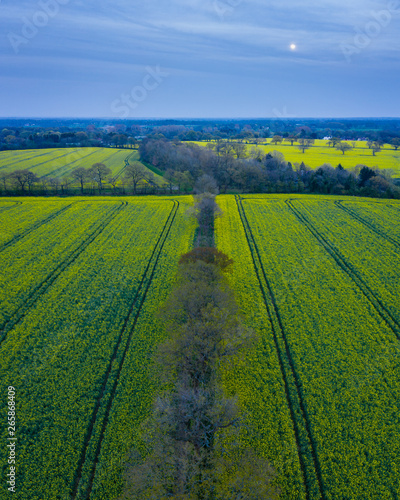 Panoramic Drone Landscape