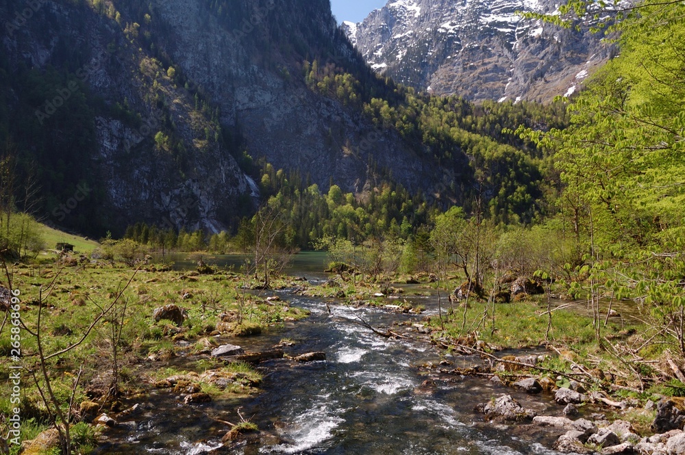 Fototapeta premium river in the mountains