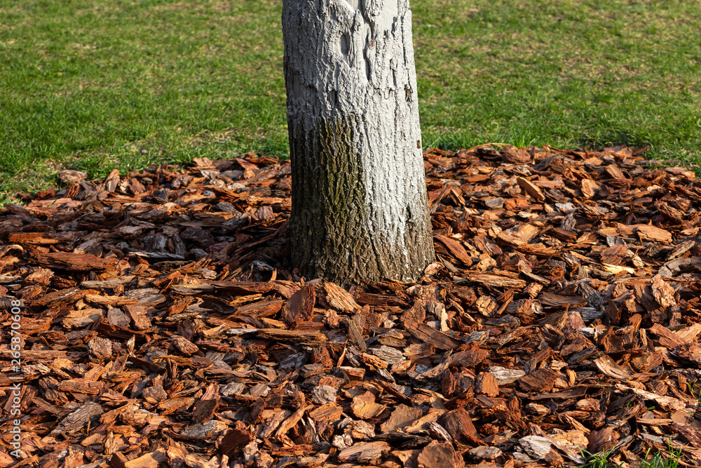 fertilizers agriculture plant garden texture fertilizers agriculture plant garden texture