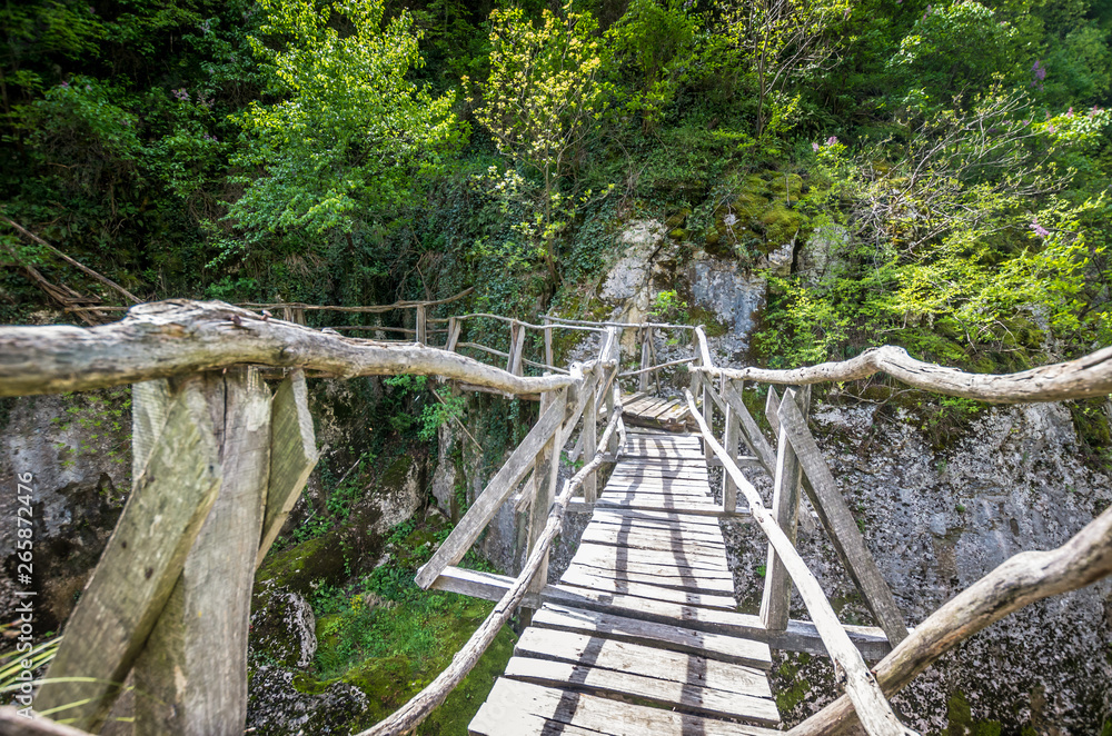 Obraz premium Emen Canyon, Bulgaria. Wood bridge over the river into a luxuriant forest