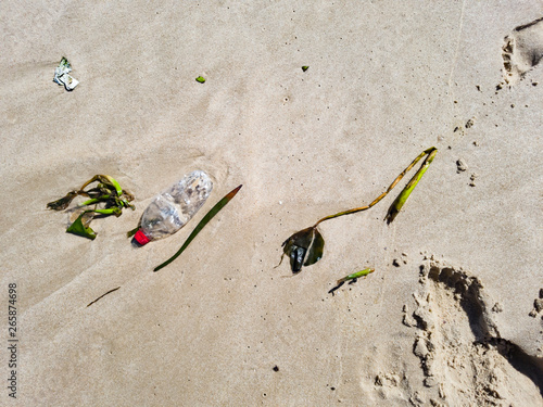 Waves bring dirt that man produces, like plastic and others, pollution brought by storms at sea. photo