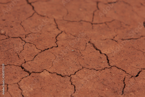 Red clay cracks because of lack of water