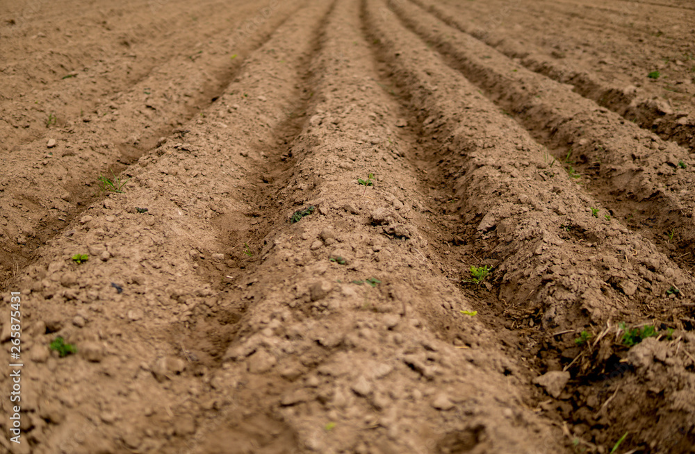 empty plowed field empty plowed field