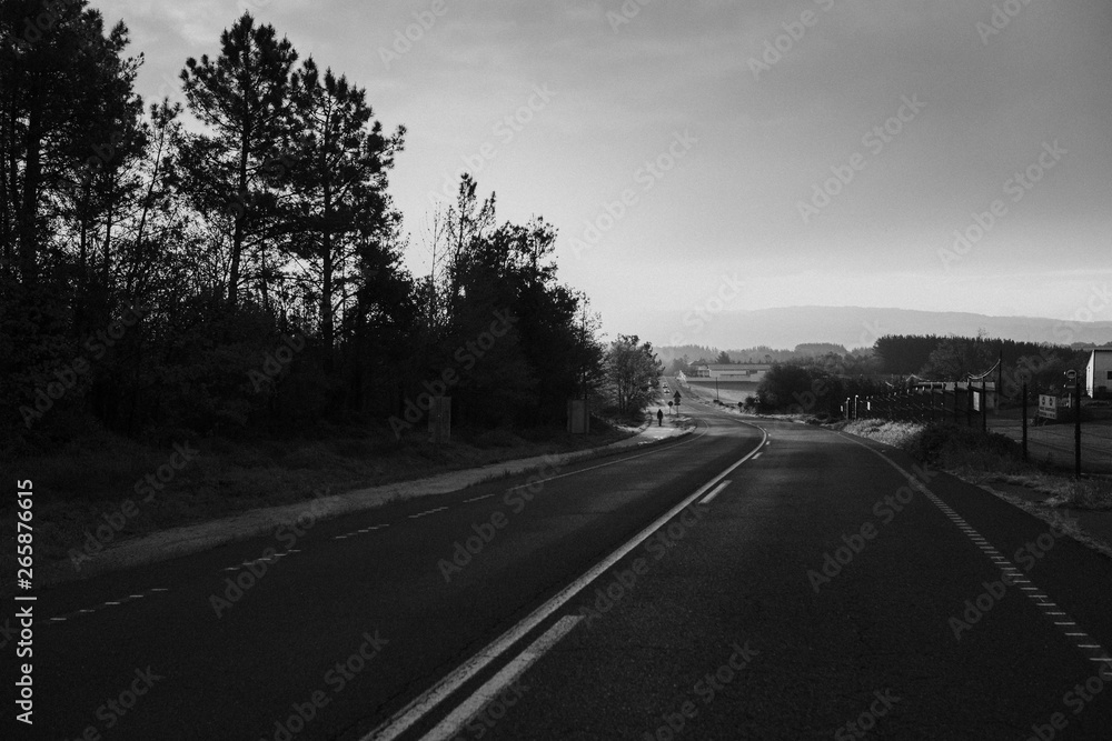 Dark misterious landscape with a road and the forest in the background, in black and white.