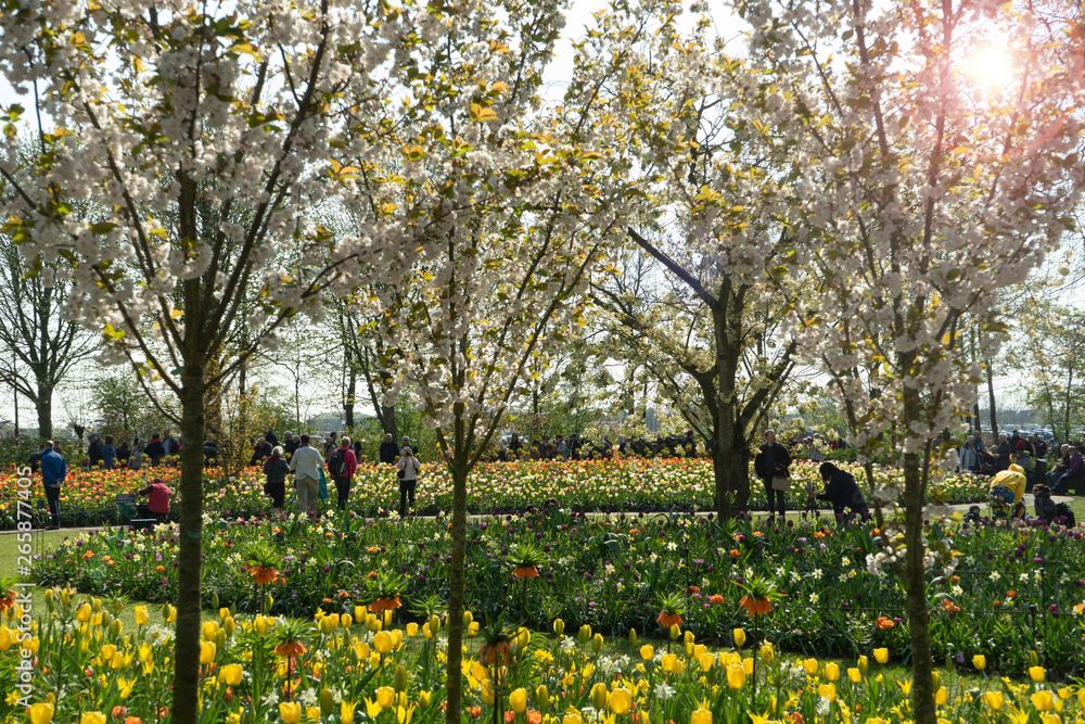 KEUKENHOF PARK, NETHERLANDS-APRIL 16, 2019: Tourists are walking in the park of flowers Keukenhof Holland