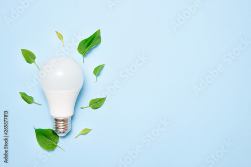 Led lamp with leaves on a blue background. Green energy efficiency concept. Top view.