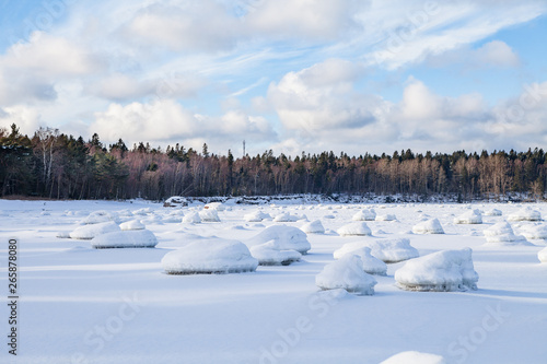 Frozen coast of Baltic sea covered by snow. Boulders, horizon and forest photo