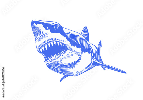Graphical blue shark isolated on white background,vector colour illustration,tattoo