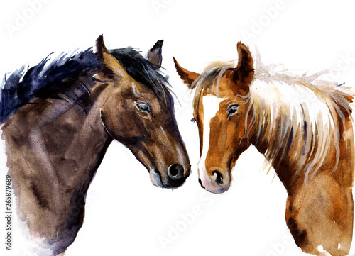 Watercolor sweet horses. Cute horses with love. Farm animals sketch