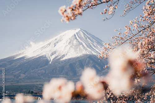 Mount Fuji Japan Sakura Cherry blossoms