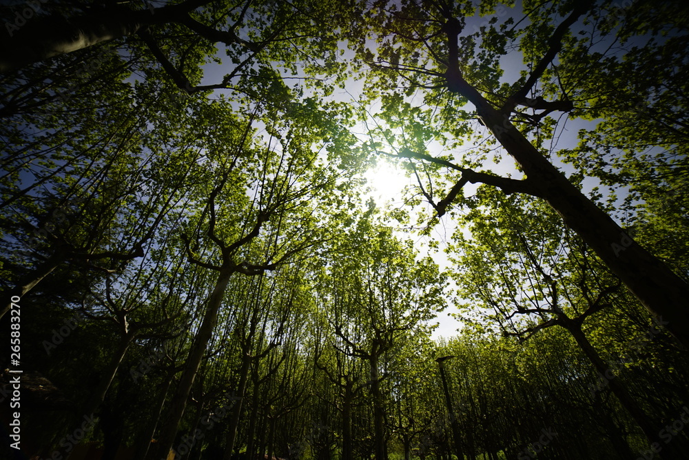 detalles que nos ofrece la naturaleza detalles que nos ofrece la naturaleza