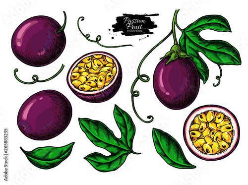 Passion fruit vector drawing set. Hand drawn tropical food illustration. Summer passionfruit objects.