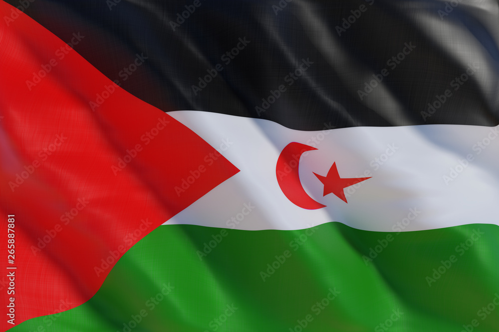 Sahrawi Arab Democratic Republic flag in the wind Sahrawi Arab Democratic Republic flag in the wind