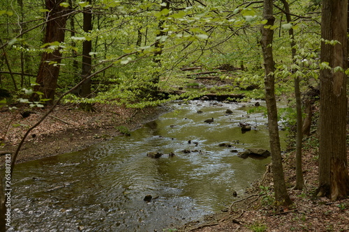 Fotografia Spring time in Maryland parks