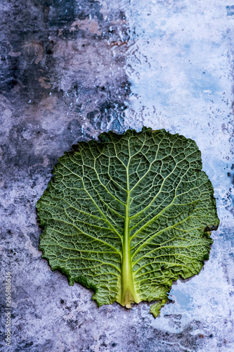 Still life, a single cabbage leaf with patterned stem and crinkled green edges on a textured background photo