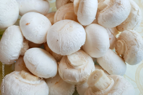 A lot of fresh white champignon mushrooms in a pile on the table. Close-up of mushroom texture. Tasty and healthy food.