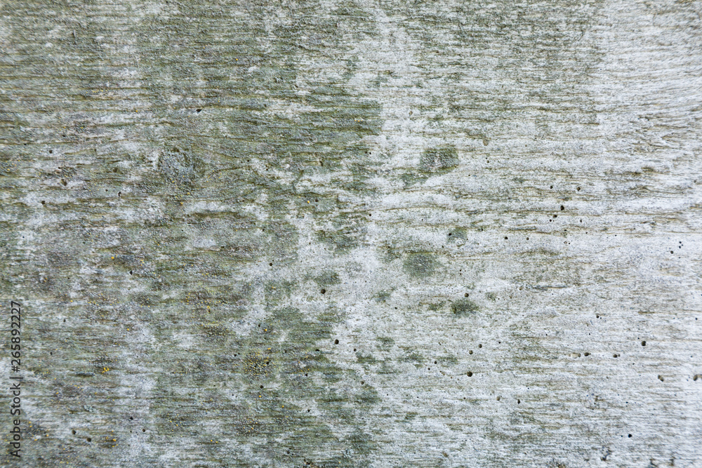 Obraz premium Grey and green abstract textured grunge wall background for use in design. Wall fragment with cracks, scratches 