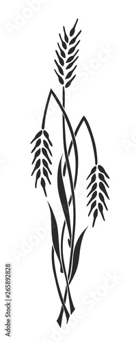 aehre0305a