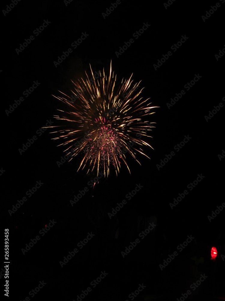 Flower blooming in the sky of Japan