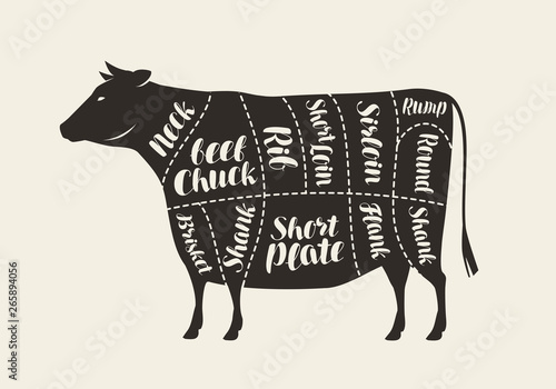 Cuts of meat, cow. Butcher shop, beef vector illustration